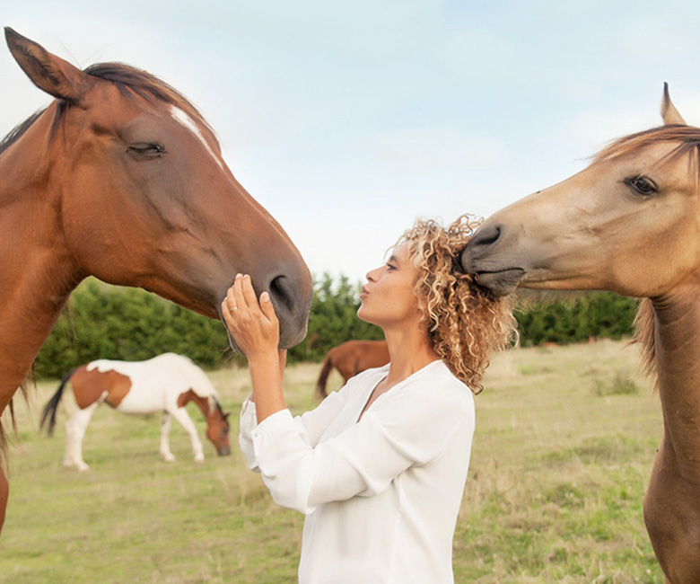 communication animale